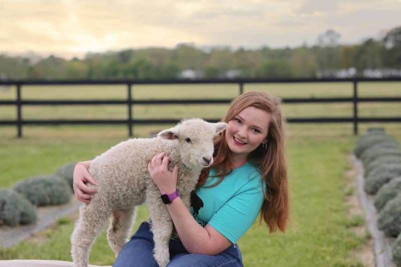 Ainsley West of Milton has received a youth microgrant award from the Livestock Conservancy to support her work with Leicester Longwool sheep, an endangered breed of agricultural livestock. SUBMITTED PHOTO